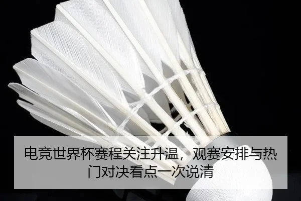 电竞世界杯赛程关注升温，观赛安排与热门对决看点一次说清